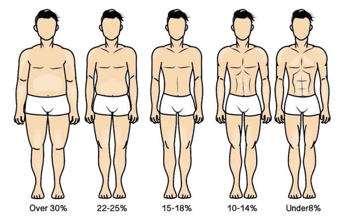 Understanding Body Composition and Recomposition for Total Body Transformation| HEH 2 WhatsApp Image 2025 06 22 at 2.57.17 PM