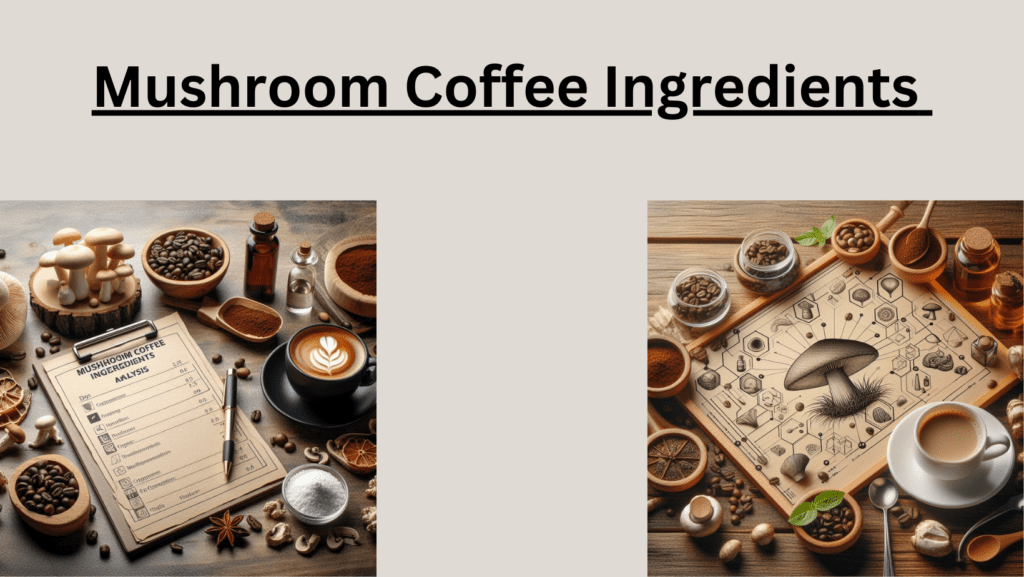Illustration of Mushroom Coffee Ingredients