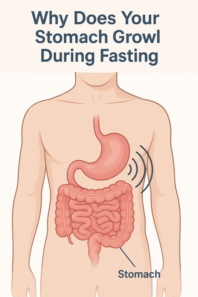 How to Stop Stomach from Growling While Fasting?| HEH 1 stomach growl