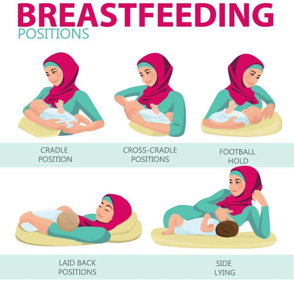 From First Latch to First Bite: A Comprehensive Guide to Breastfeeding and Beyond| HEH 2 image 26