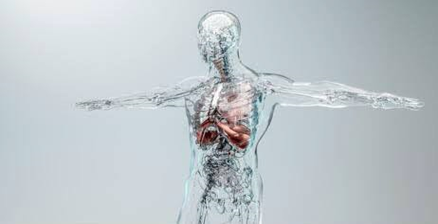 Why Water on an Empty Stomach Matters? Temperature Matters Even More| HEH 2 image 5