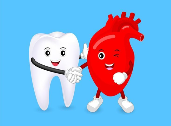 How Oral Hygiene Affects Your Cardiovascular Health? A Comprehensive Guide| HEH 3 image 10