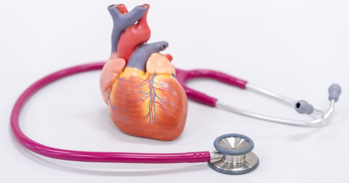 Why Preventing Heart Disease Matters Why Preventing Heart Disease Matters