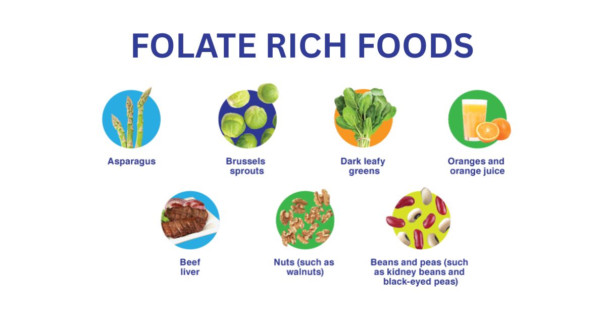Folate: Cell Renewal and Hormonal Balance Folate: Cell Renewal and Hormonal Balance