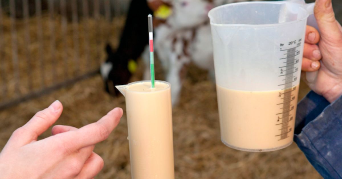 Factors That Affect Colostrum Quality During Freezing Factors That Affect Colostrum Quality During Freezing