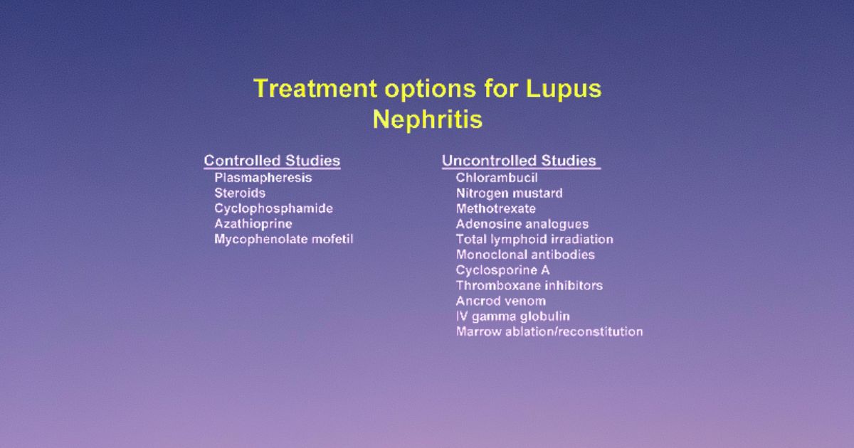 Lupus Nephritis Treatment Lupus Nephritis Treatment