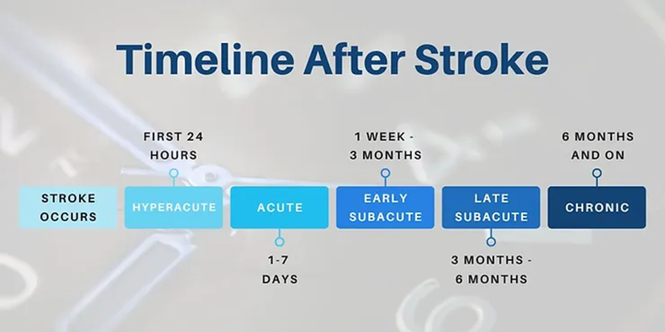 What is an Ischemic Stroke? Symptoms, Diagnosis, and Essential Treatment| HEH 6 image 17