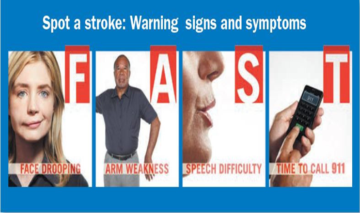 Stroke (Brain Attack): Recognize Early Signs, Causes, and Prevention Tips: HEH 2 image 6